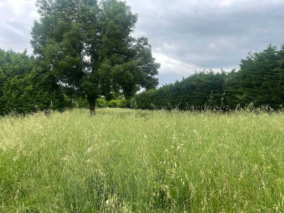 Helårsgrund i Loriol-sur-Drome, Drome - foto 1
