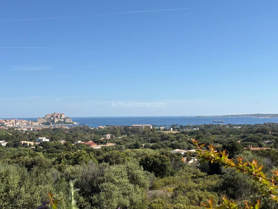 Villa i Calvi, Haute-Corse - foto 1