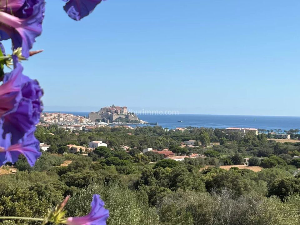 Villa a Calvi, Haute-Corse - foto 1