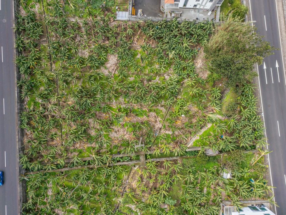Helårsgrund i Ribeira Brava, Madeira - foto 5