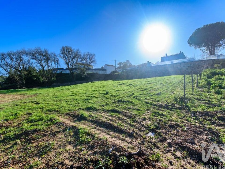 Helårsgrund i Caldas da Rainha, Leiria - foto 3