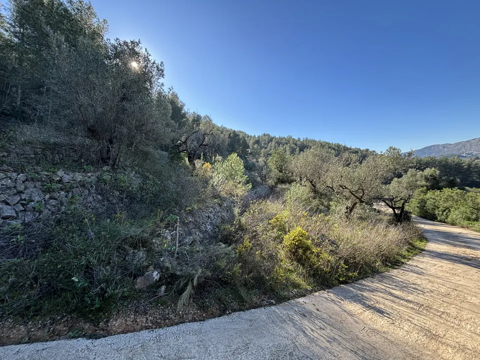 Helårsgrund i Jalon, Alicante - foto 2