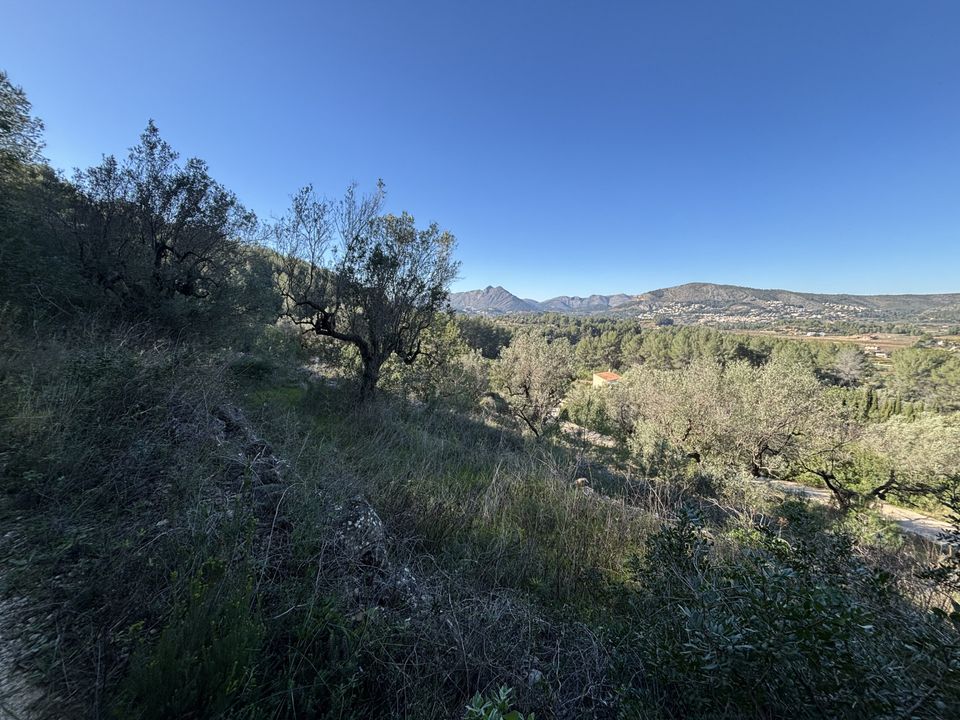 Helårsgrund i Jalon, Alicante - foto 4
