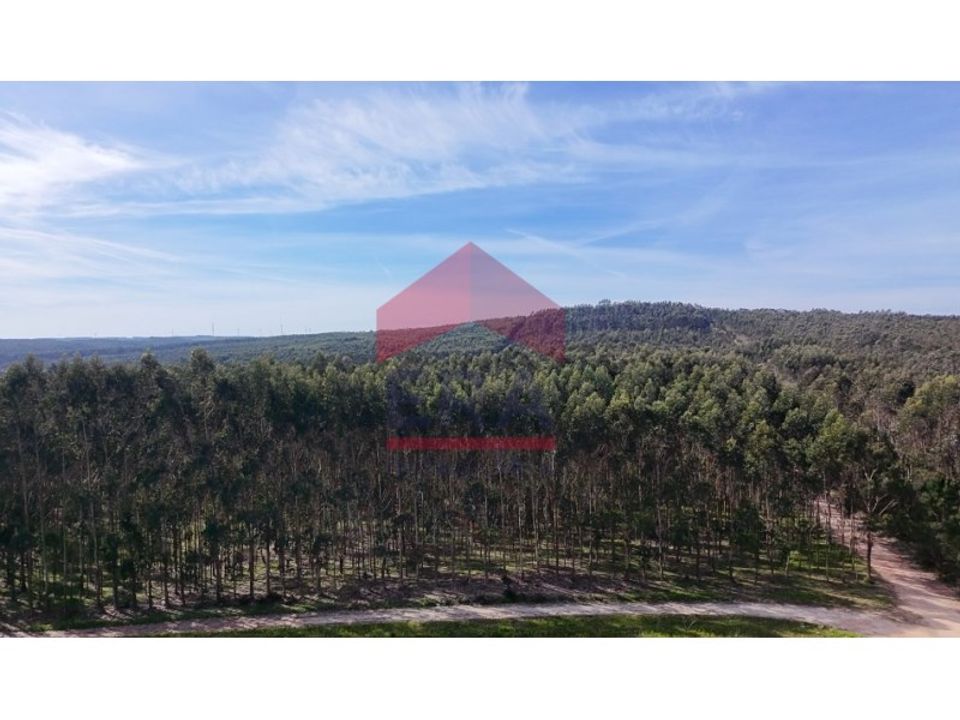 Helårsgrund i Vau, Leiria - foto 2