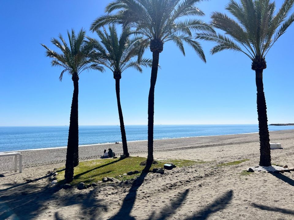 Erhvervsejendom i Casares, Malaga - foto 3