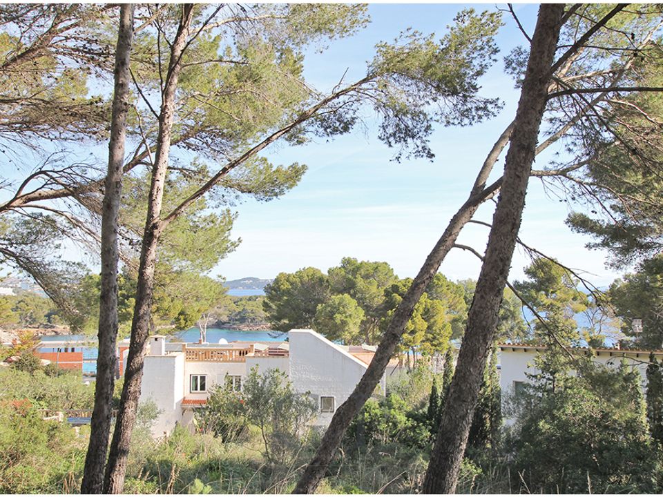Helårsgrund i Font De La Cala, Mallorca - foto 3