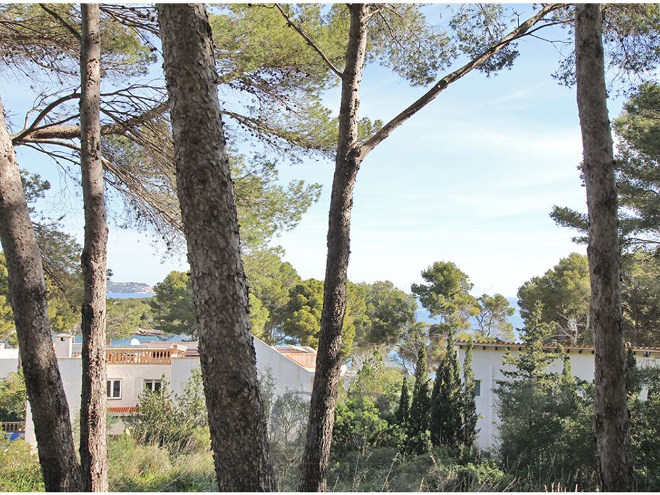 Helårsgrund i Font De La Cala, Mallorca - foto 4