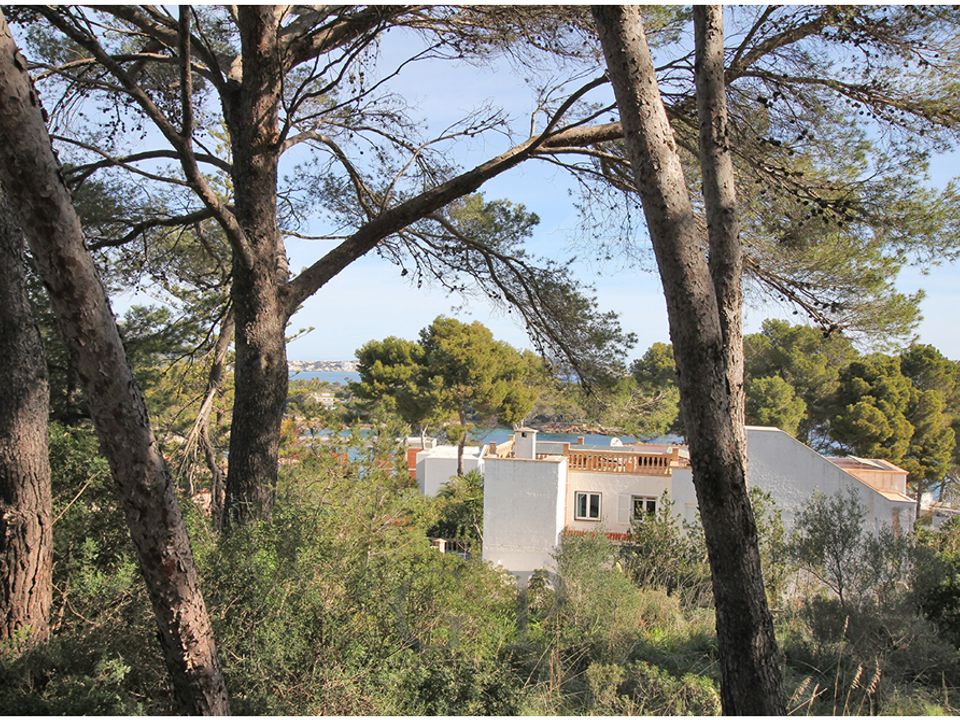 Helårsgrund i Font De La Cala, Mallorca - foto 5