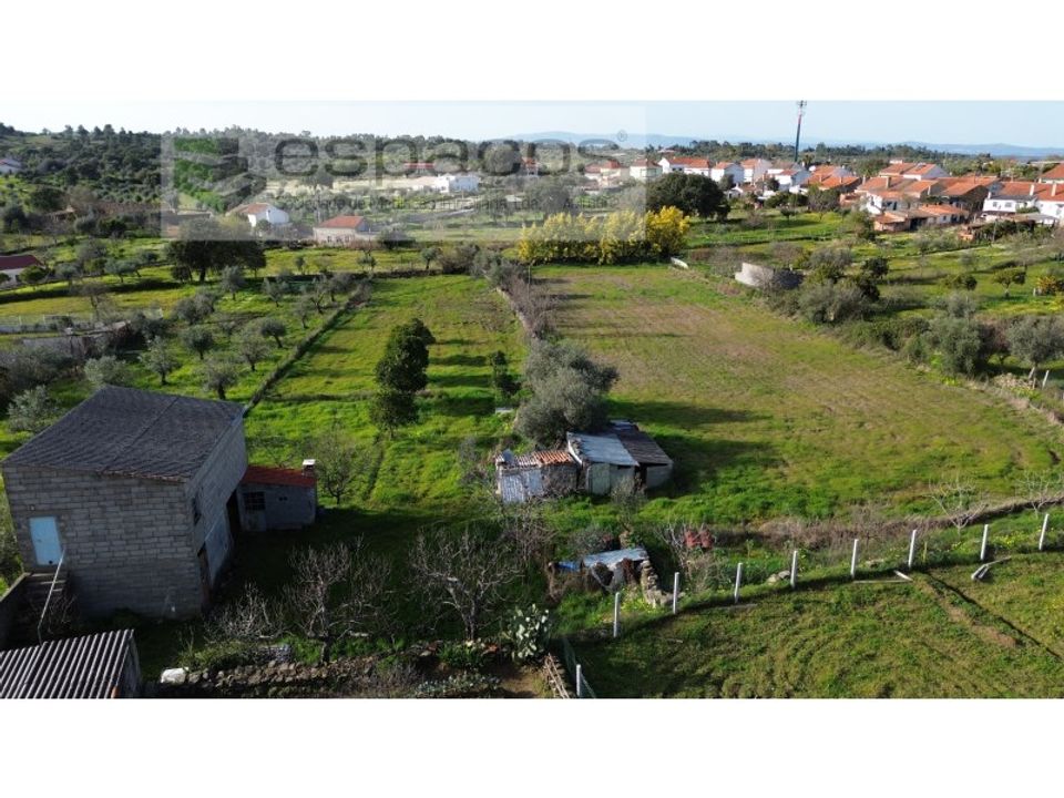 Helårsgrund i Escalos de Baixo, Castelo Branco - foto 1