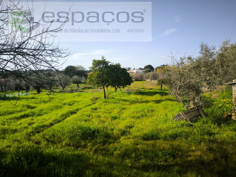 Helårsgrund i Escalos de Baixo, Castelo Branco - foto 4