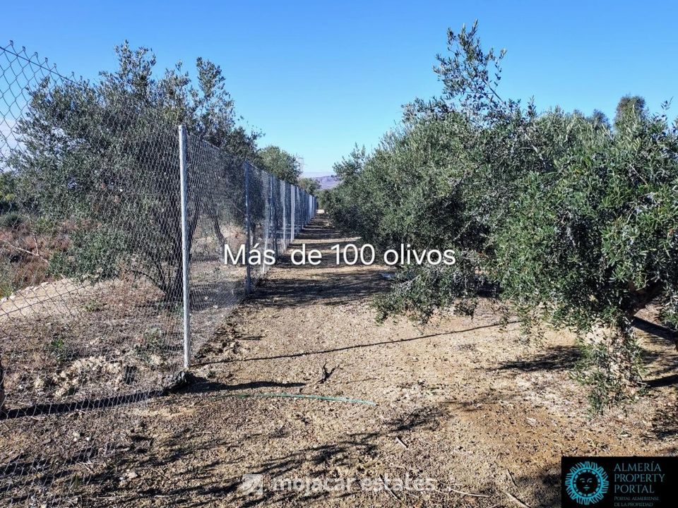 Villa i Turre, Almeria - foto 2
