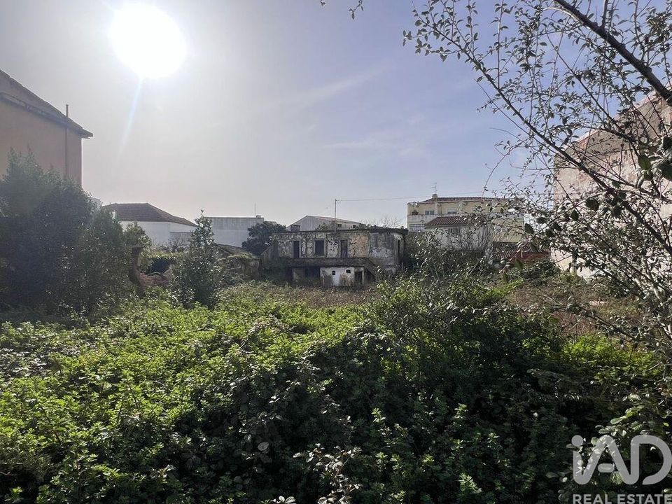 Helårsgrund i Bombarral, Leiria - foto 3