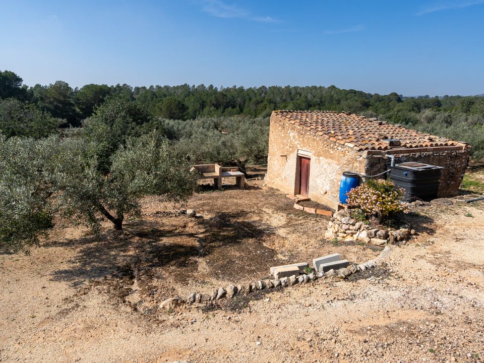 Finca i Camarles, Tarragona - foto 3