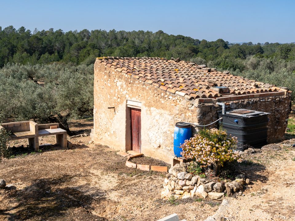 Finca i Camarles, Tarragona - foto 2