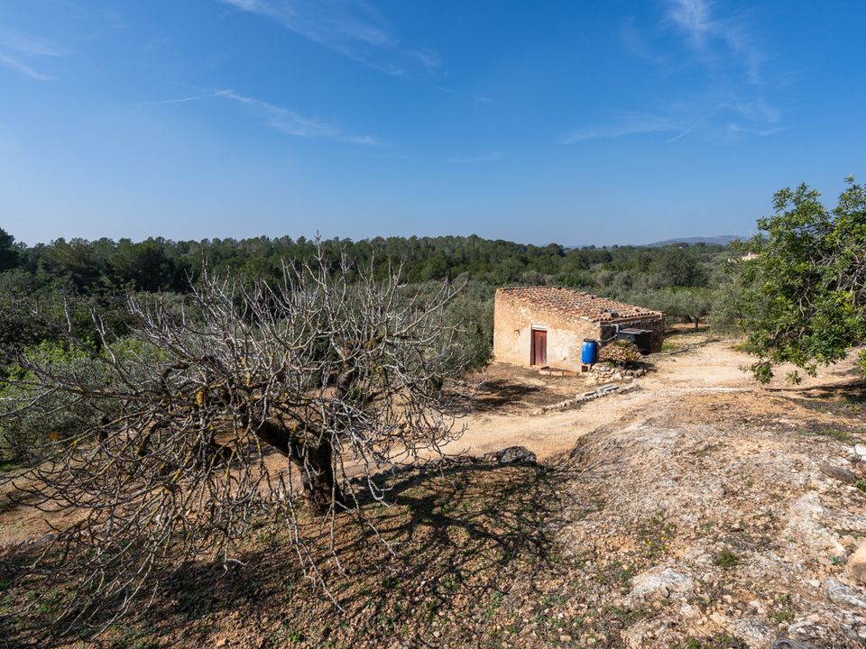 Finca i Camarles, Tarragona - foto 4
