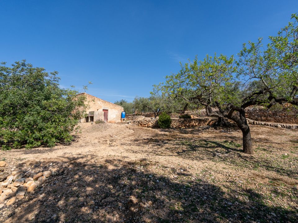 Finca i Camarles, Tarragona - foto 5