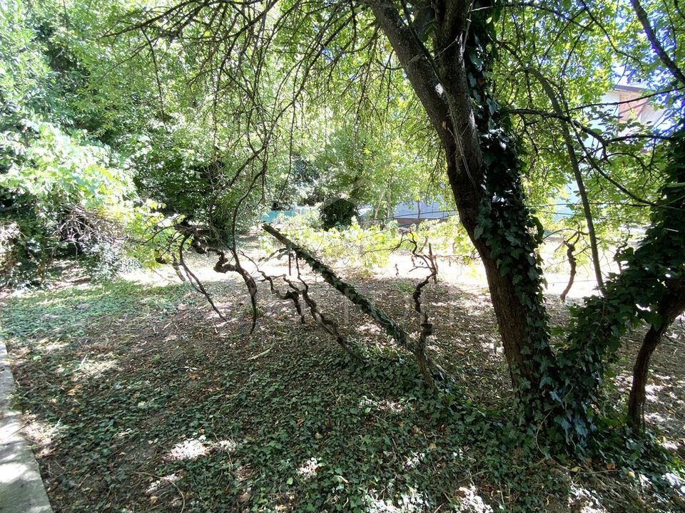Villa a Cervia, Ravenna - foto 3