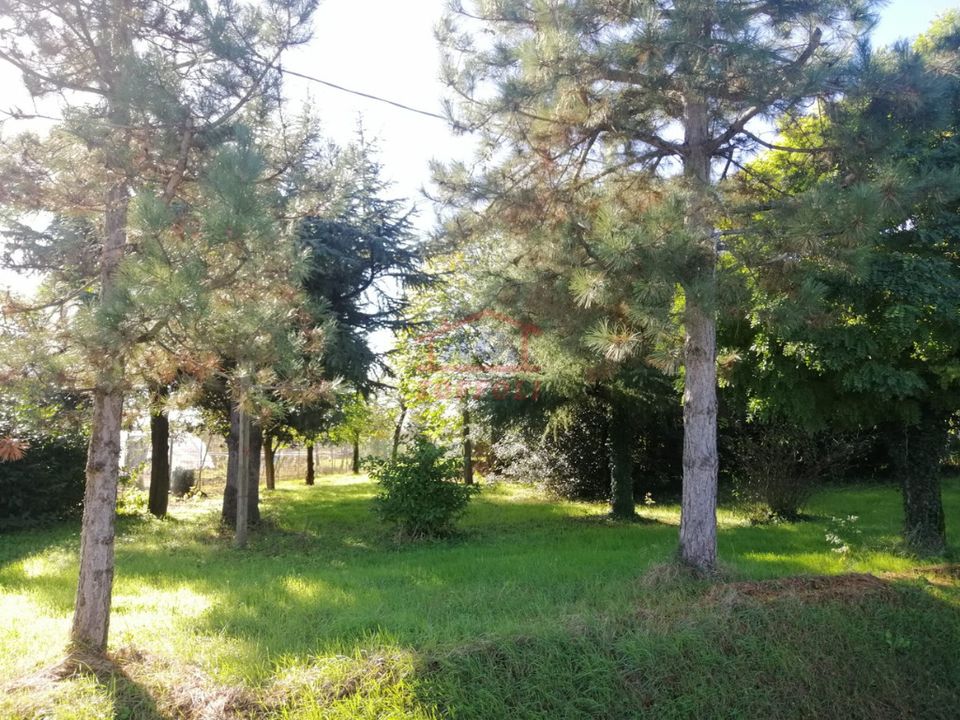 Villa a Bagnacavallo, Ravenna - foto 1