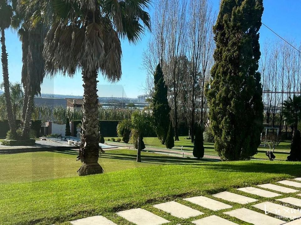 Farm i Figueira da Foz, Coimbra - foto 1