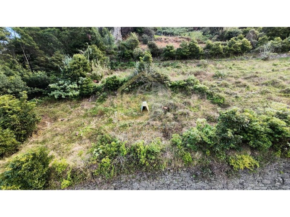 Helårsgrund i Machico, Madeira - foto 3