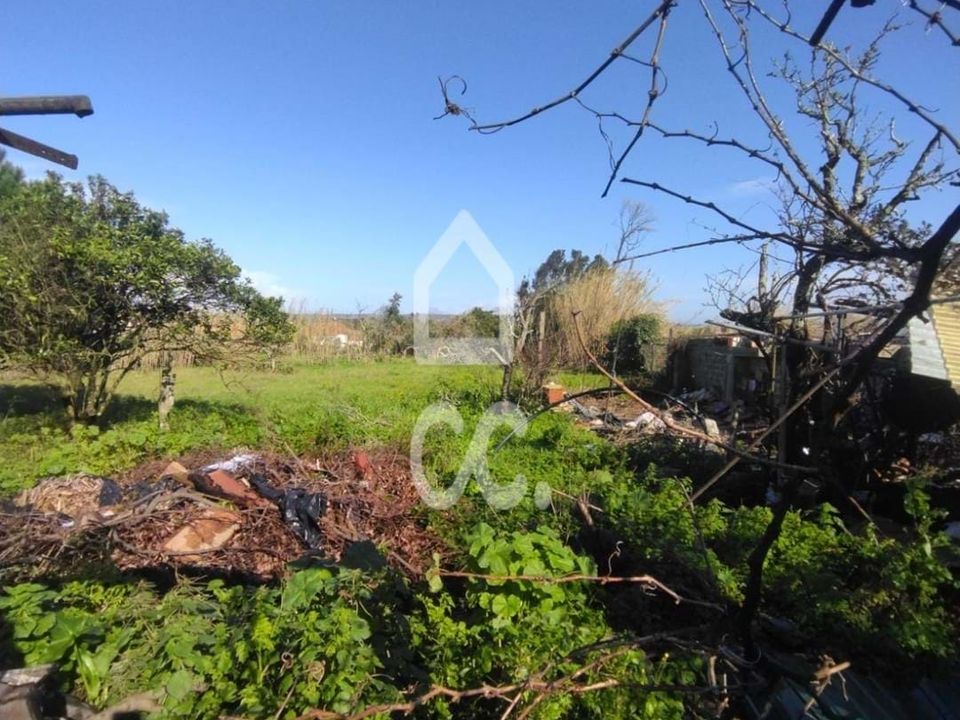Villa i Vieira de Leiria, Leiria - foto 3