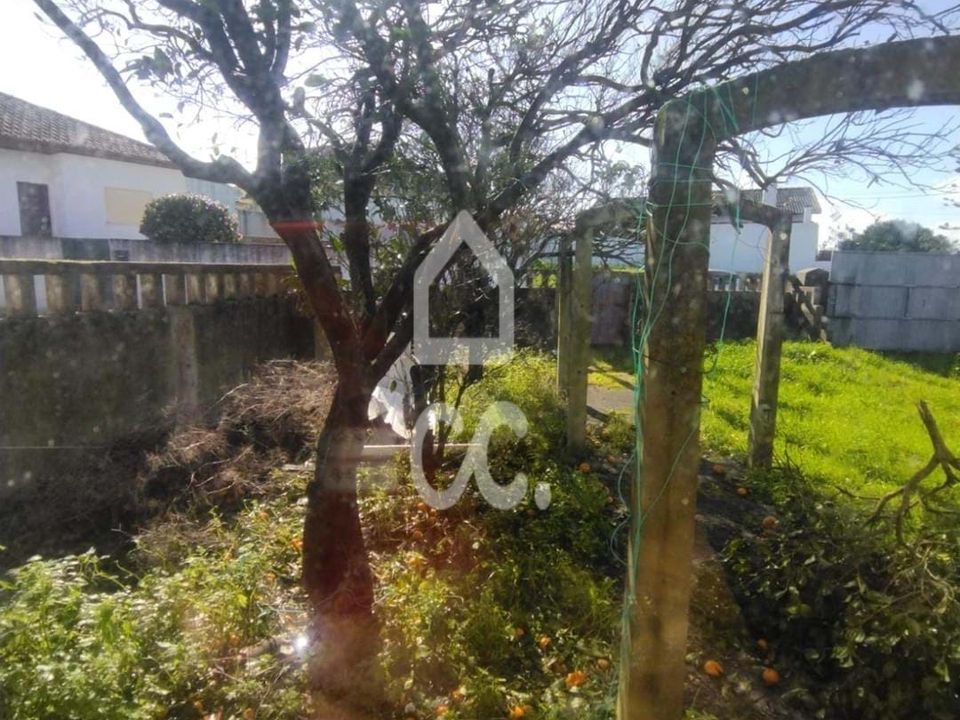 Villa i Vieira de Leiria, Leiria - foto 3
