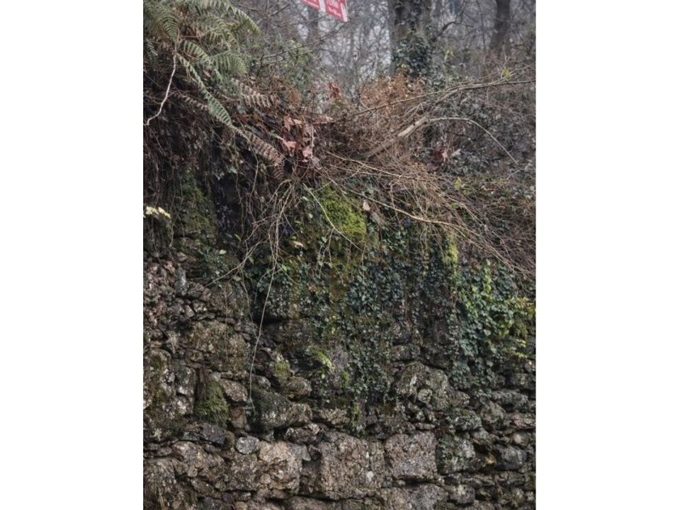 Land in Parada do Bouro, Braga - photo 3