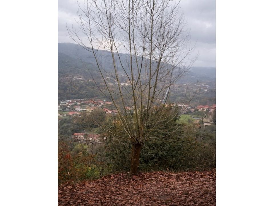 Land in Parada do Bouro, Braga - photo 4