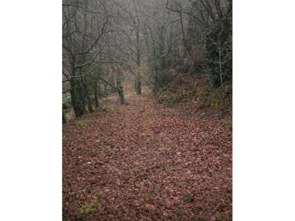 Land in Parada do Bouro, Braga - photo 5