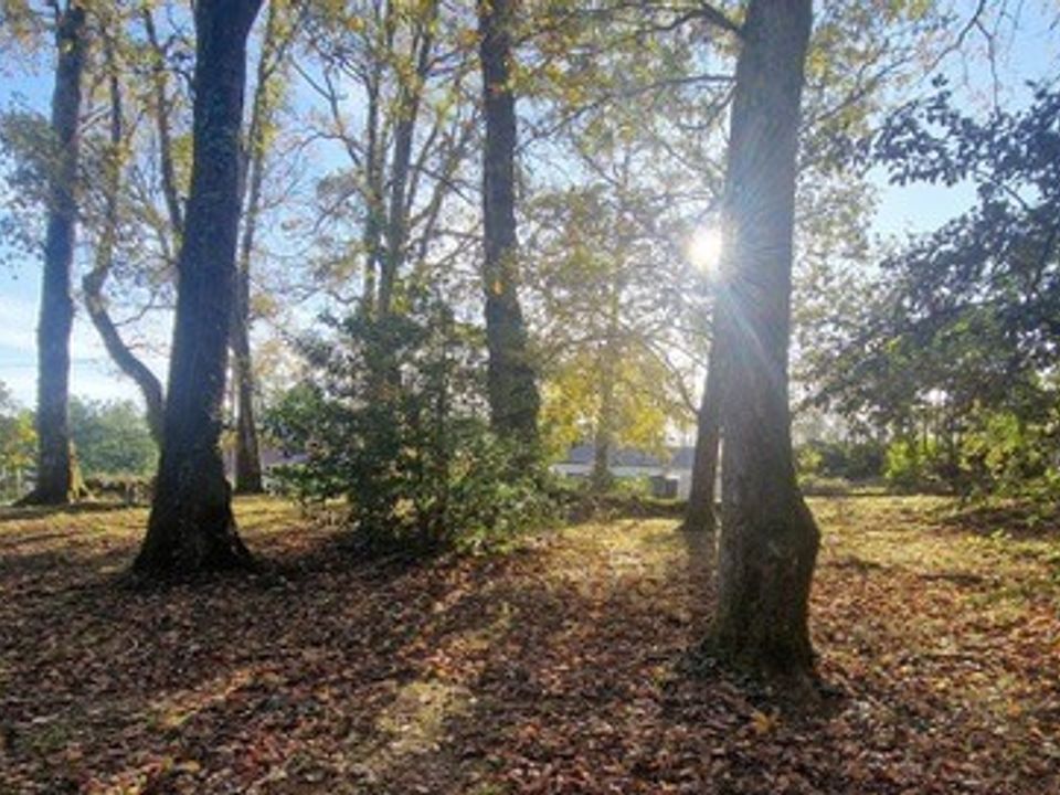 Helårsgrund i Bonnetan, Gironde - foto 1