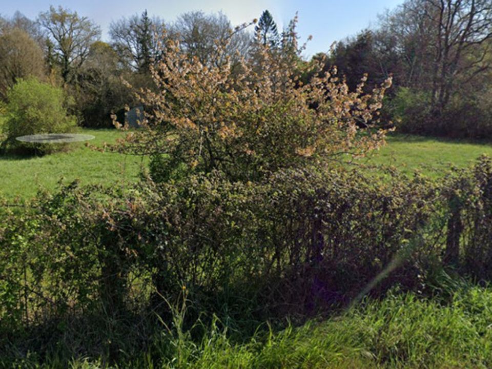 Tomt i Montussan, Gironde - bilde 1