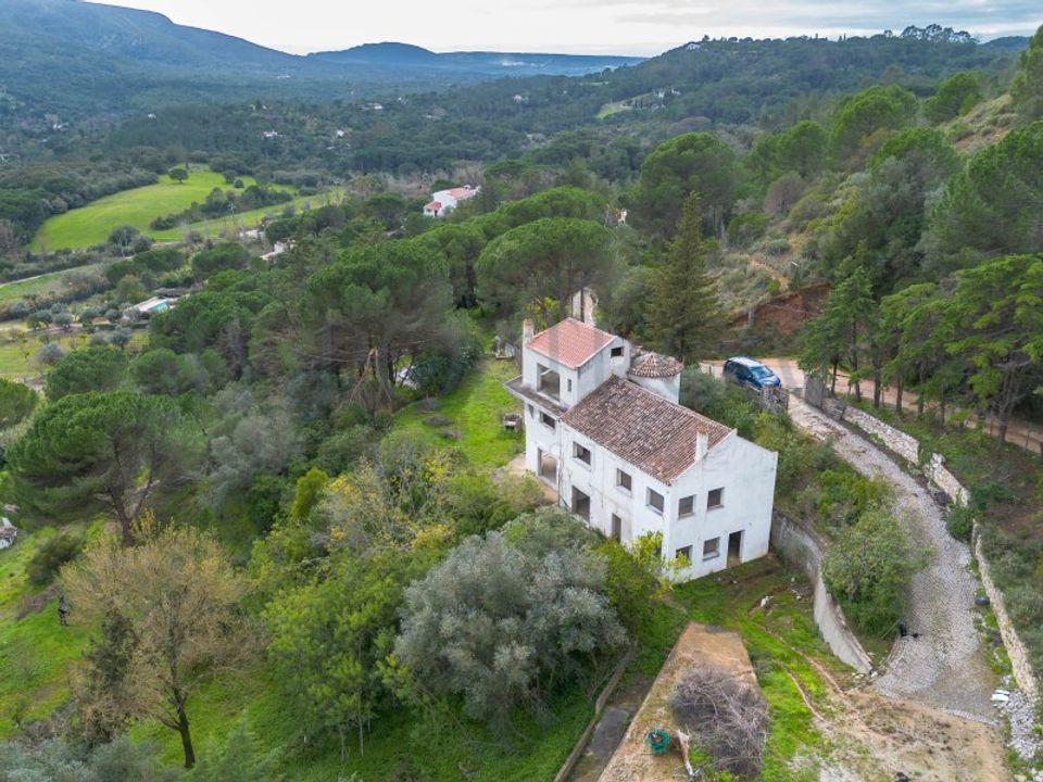 Farm i Brejos de Azeitao, Setubal - foto 1