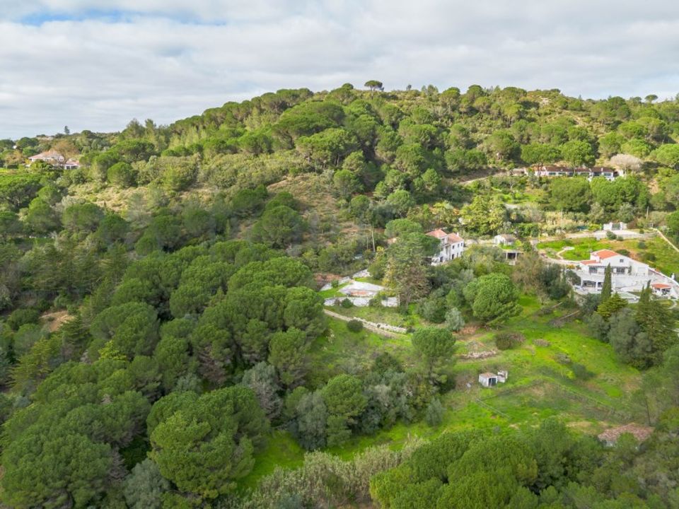 Farm i Brejos de Azeitao, Setubal - foto 2