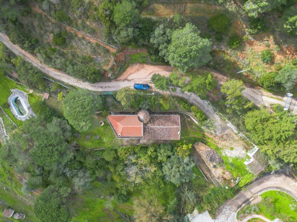 Farm i Brejos de Azeitao, Setubal - foto 3