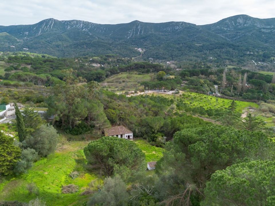 Farm i Brejos de Azeitao, Setubal - foto 4