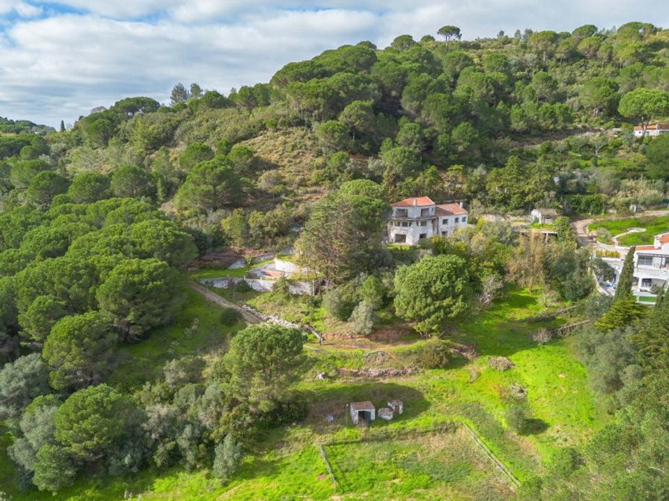 Farm i Brejos de Azeitao, Setubal - foto 5