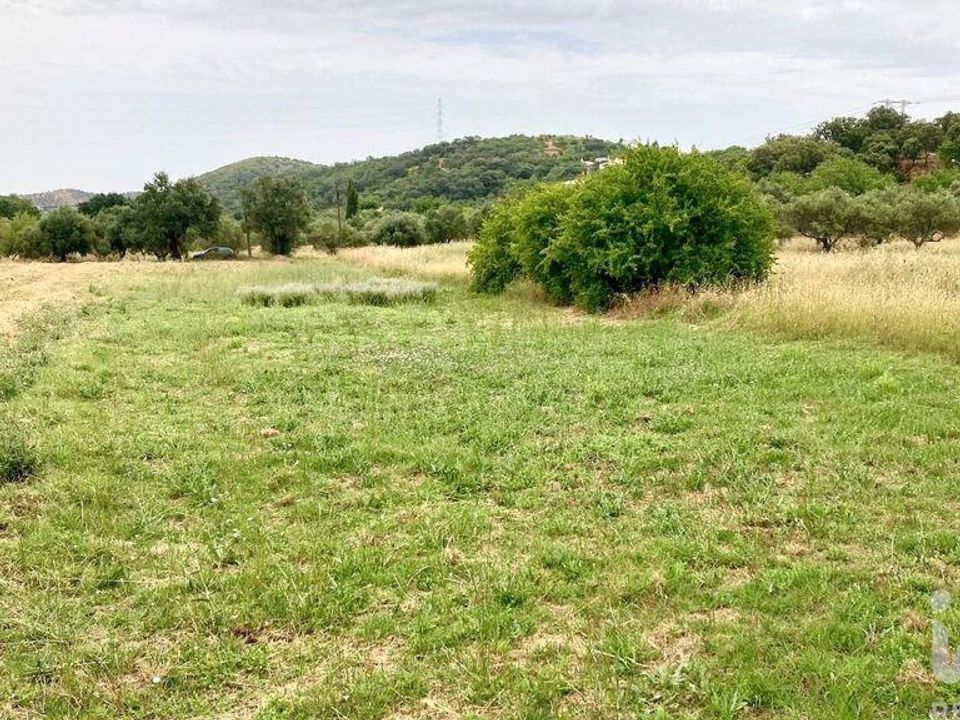 Helårsgrund i Sao Bras de Alportel, Faro - foto 2