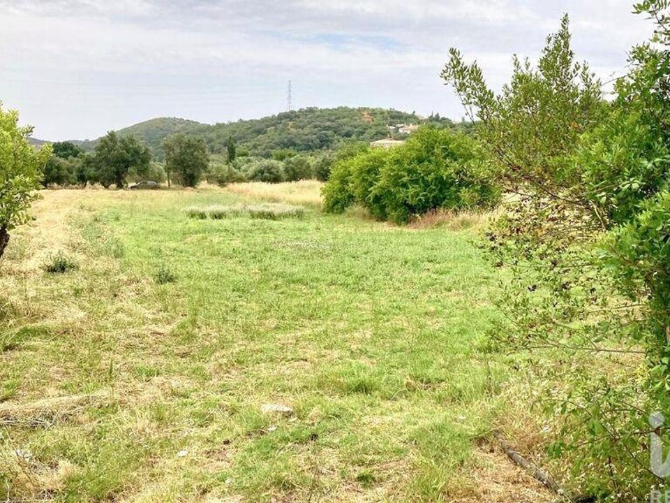 Helårsgrund i Sao Bras de Alportel, Faro - foto 3