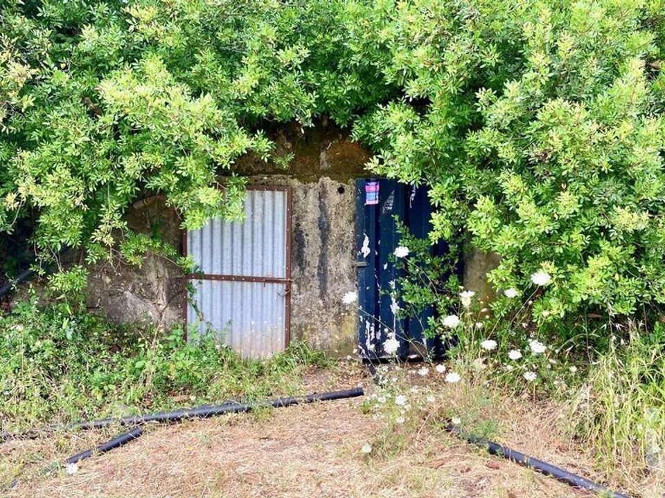Helårsgrund i Sao Bras de Alportel, Faro - foto 4