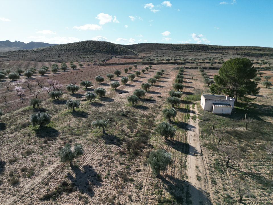 Helårsgrund i La Alqueria, Murcia - foto 1