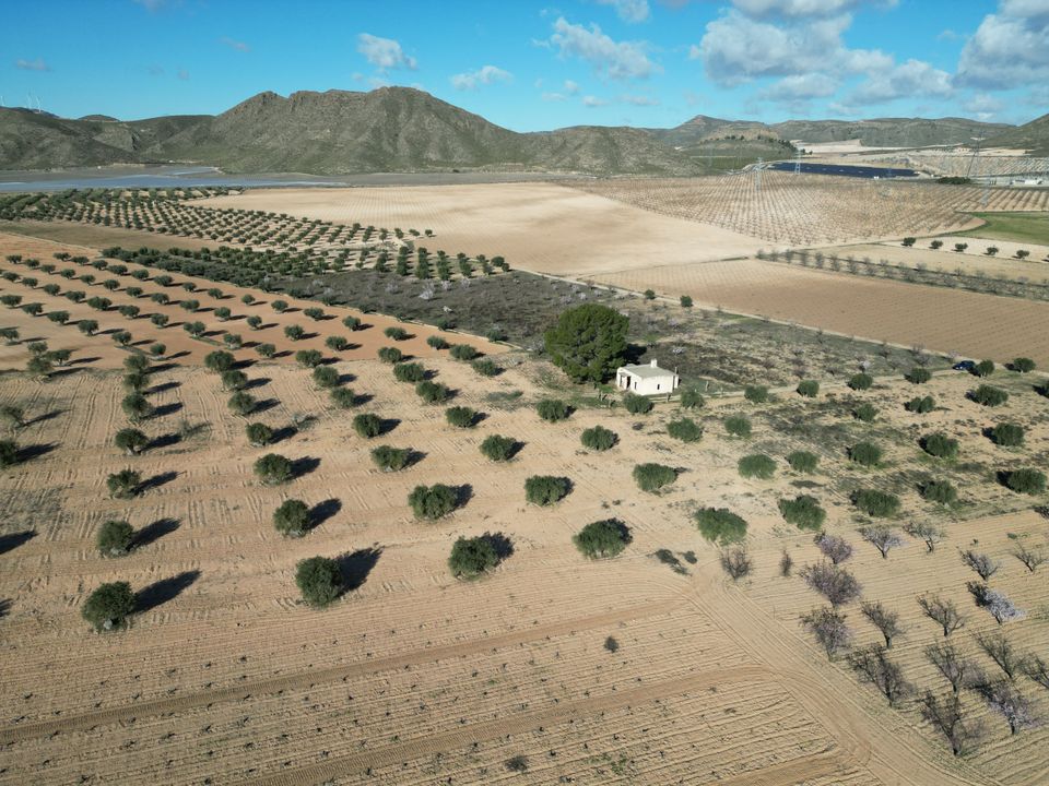 Helårsgrund i La Alqueria, Murcia - foto 4