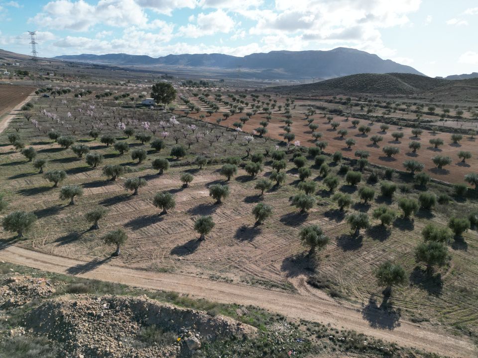 Helårsgrund i La Alqueria, Murcia - foto 4