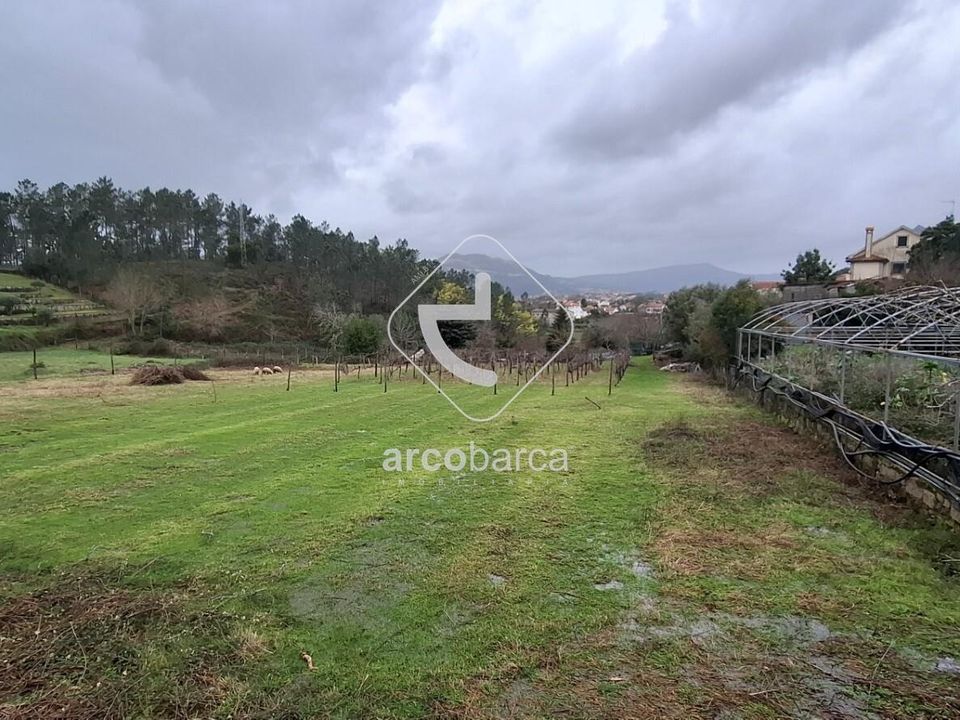 Terra a Ponte de Lima, Viana do Castelo - foto 5