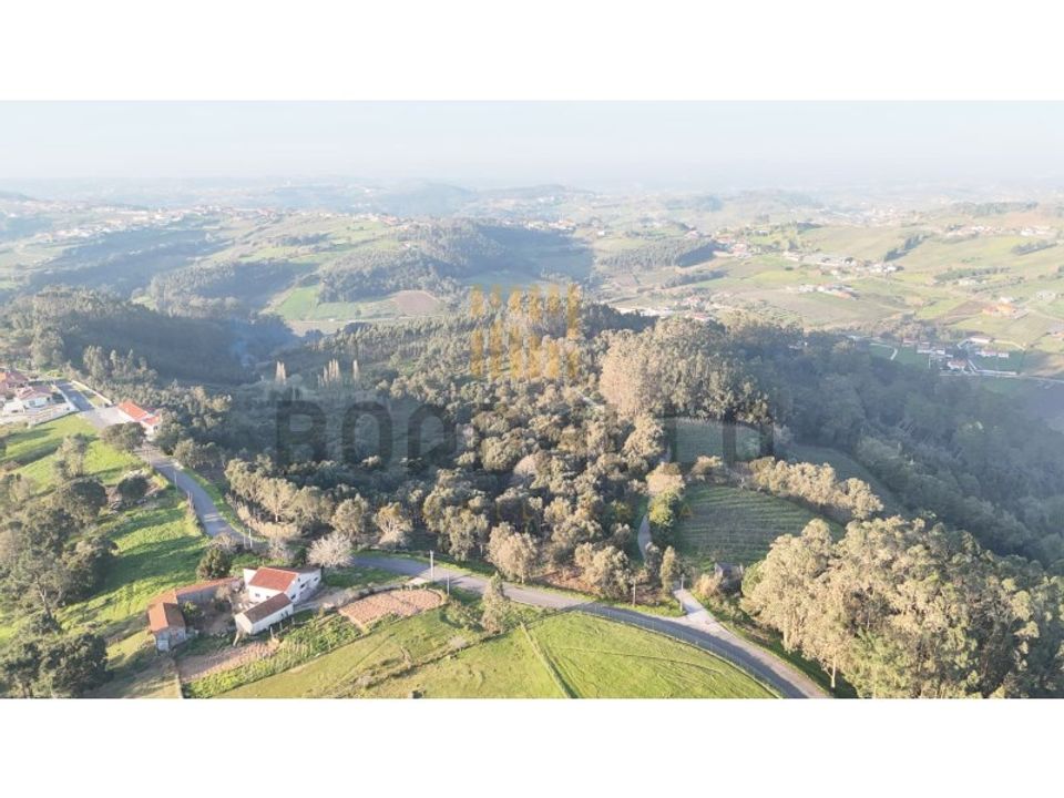 Helårsgrund i Caldas da Rainha, Leiria - foto 5