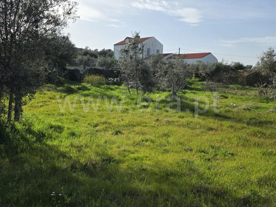 Helårsgrund i Castelo Branco, Castelo Branco - foto 1