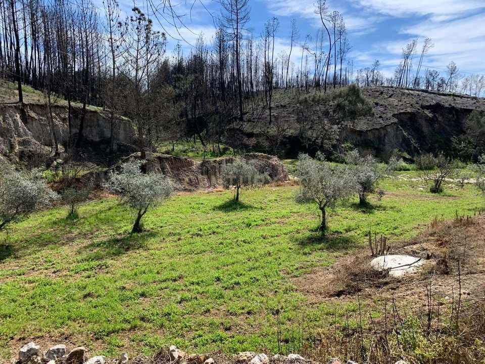 Villa i Alvaiazere, Leiria - foto 2