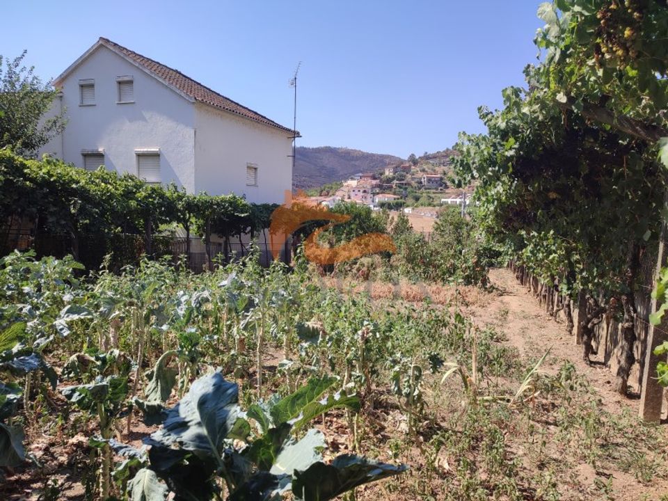 Villa a Arganil, Coimbra - foto 3