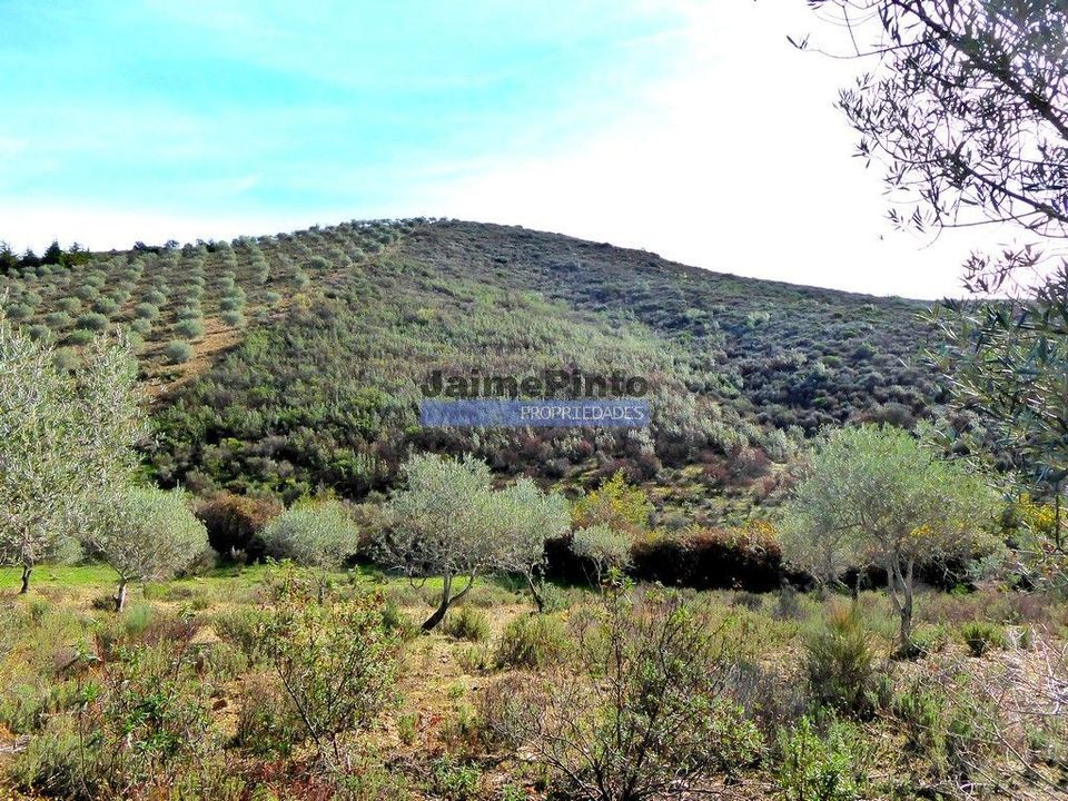 Helårsgrund i Alfandega da Fe, Braganca - foto 3