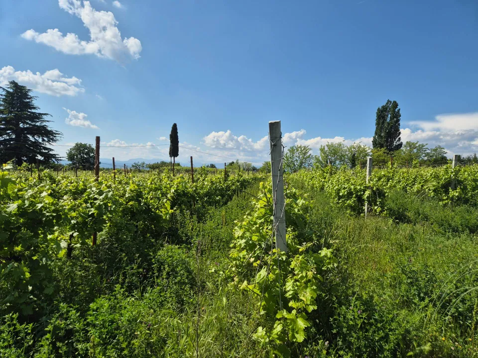 Helårsgrund i Lazise, Verona - foto 1