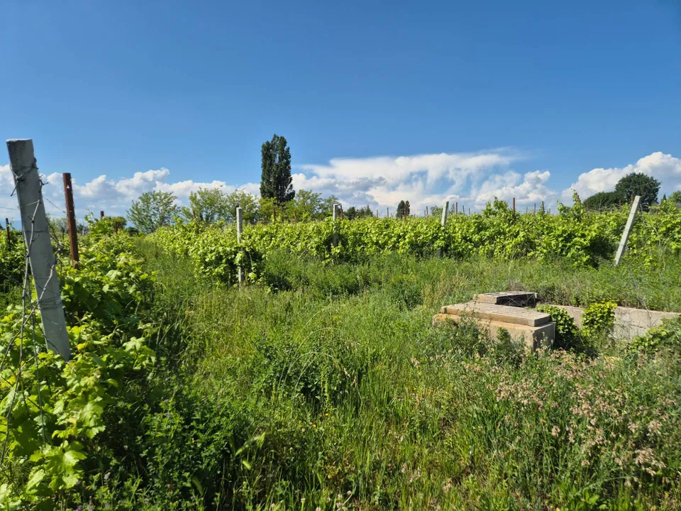 Helårsgrund i Lazise, Verona - foto 2